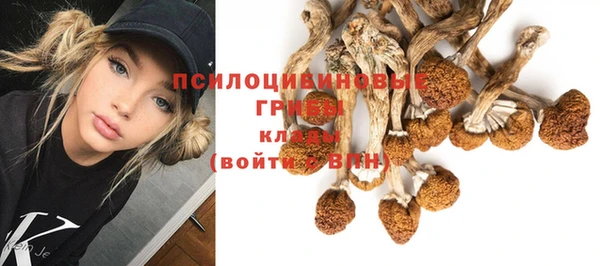 герыч Михайлов